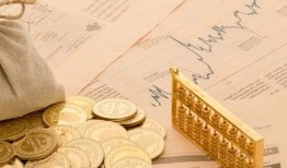 揭秘哪些贷款无需查看征信即可成功申请
