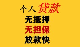 东莞30信用贷款办理-东莞30身份证贷款分期-东莞30小额私人借贷