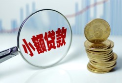 东莞30哪里可以小额贷款-东莞30哪里有民间借贷-东莞30民间短期私借借款