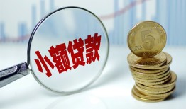 东莞30哪里可以小额贷款-东莞30哪里有民间借贷-东莞30民间短期私借借款